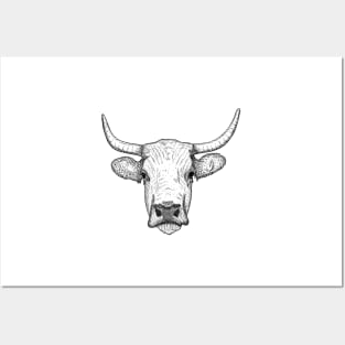 Cow Posters and Art